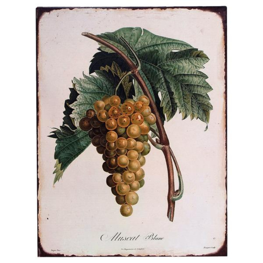 Farmhouse Grapes Tin Sign Wall Hanging